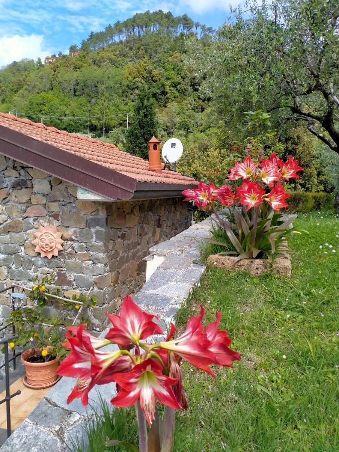 5 Terre - B&B La Giuditta - La Spezia Exterior photo